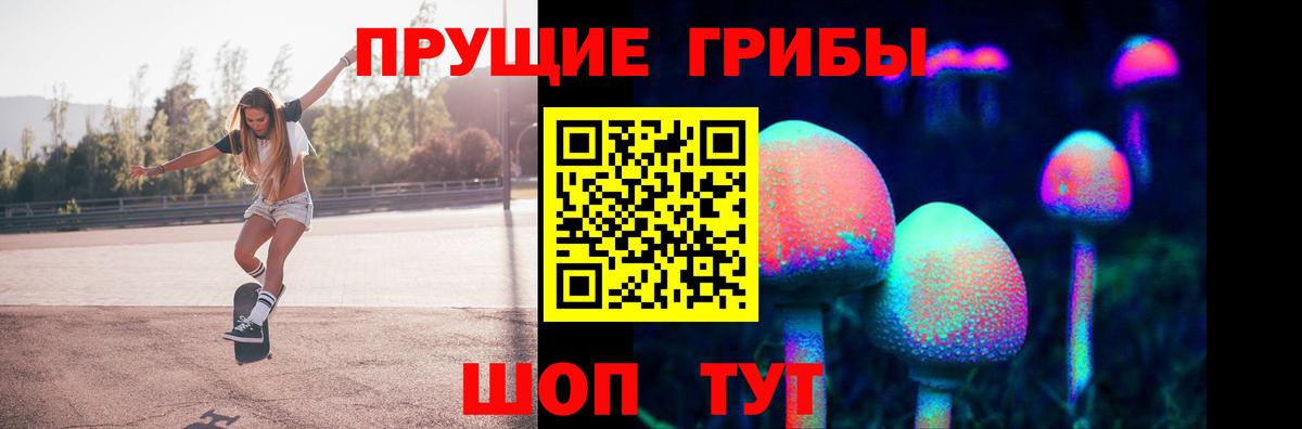 закладка  Галлюциногенные грибы GOLDEN TEACHER  Вход с VPN  Елизово 