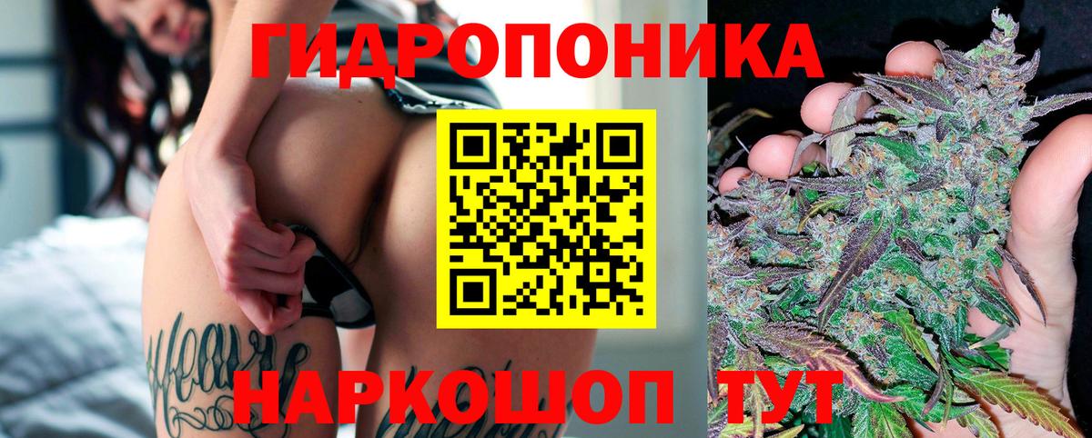 Конопля Ganja  Канабис VHQ  Вход с VPN  Елизово  Каннабис THC 21% 